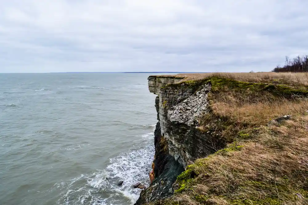 Coastal chalk cliff edge with sea and horizon beyond