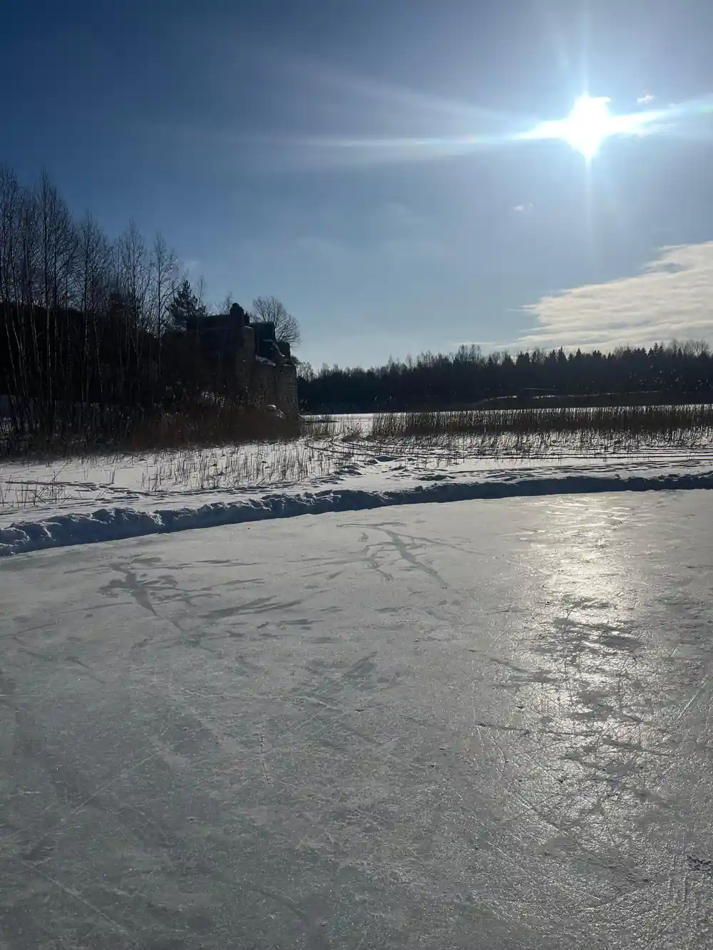 Frozen lake with bright sun and distant trees