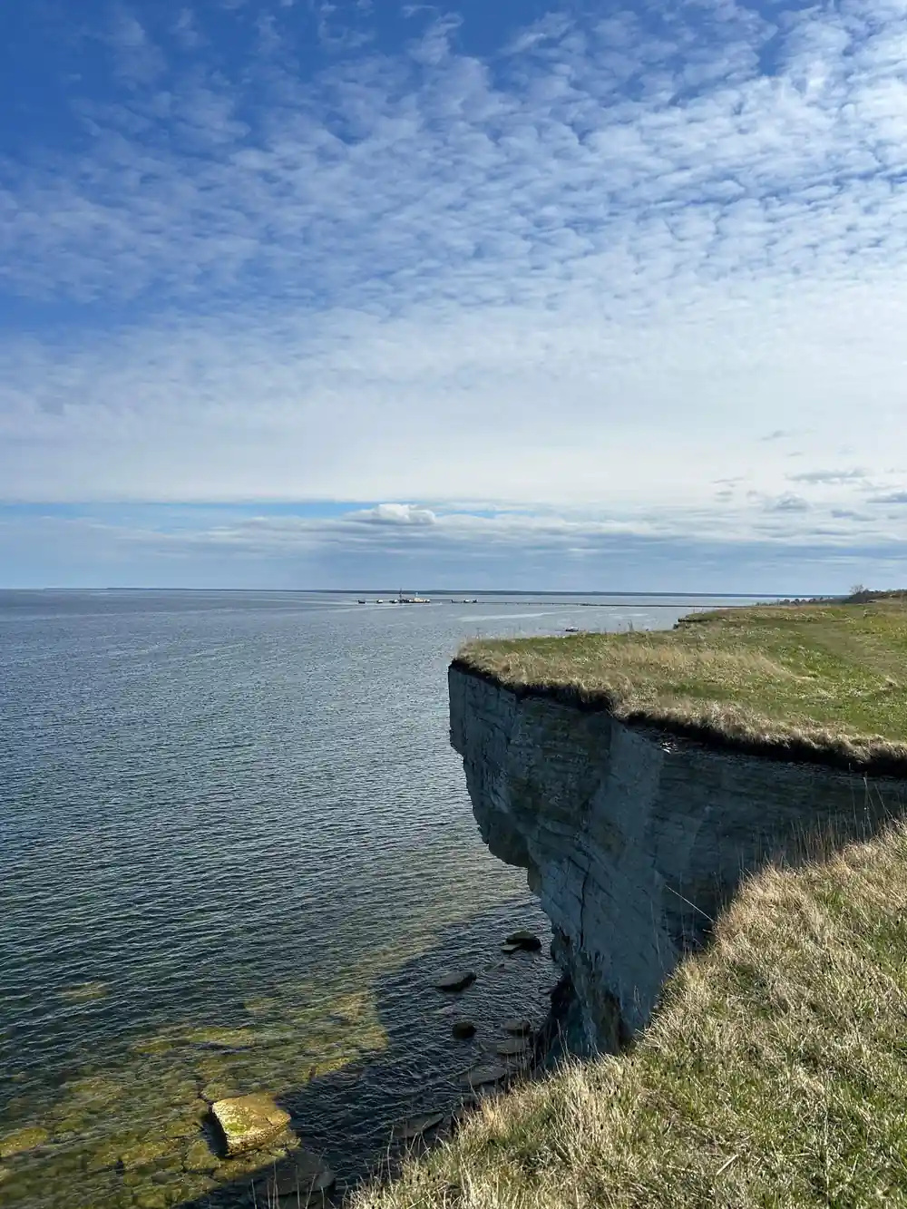 Grassy cliff edge overlooking calm sea and horizon