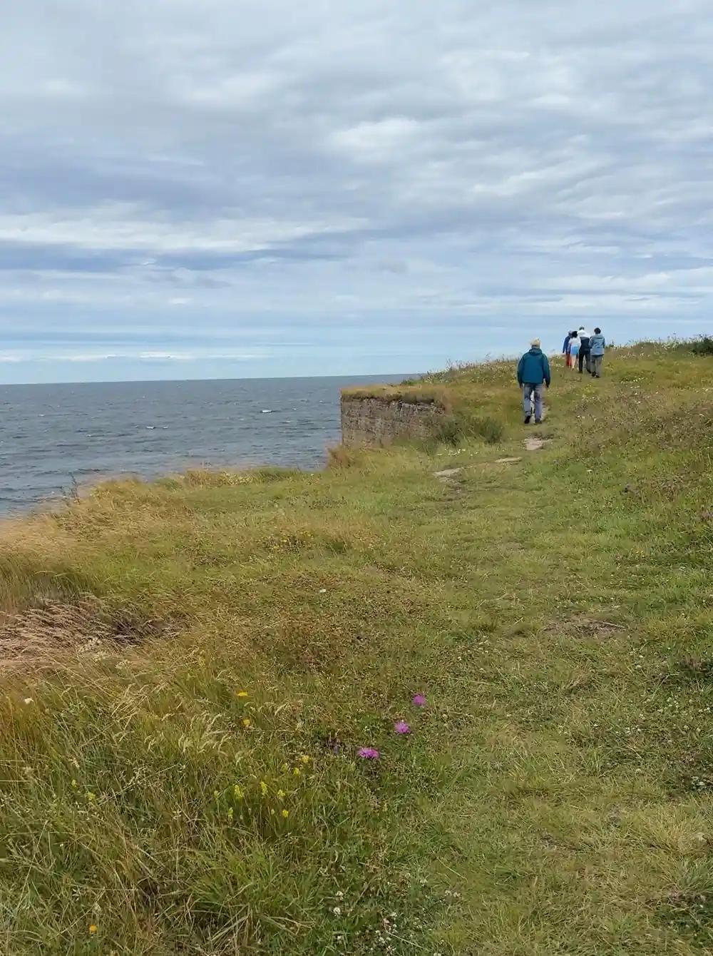 Grassy coastal path with people walking by calm water