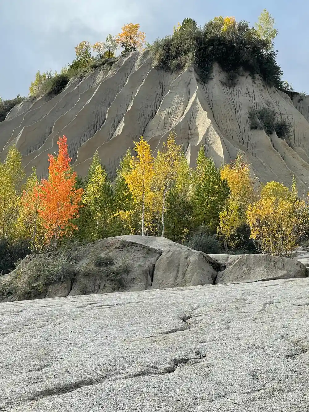 Grey mining heap with autumn trees below