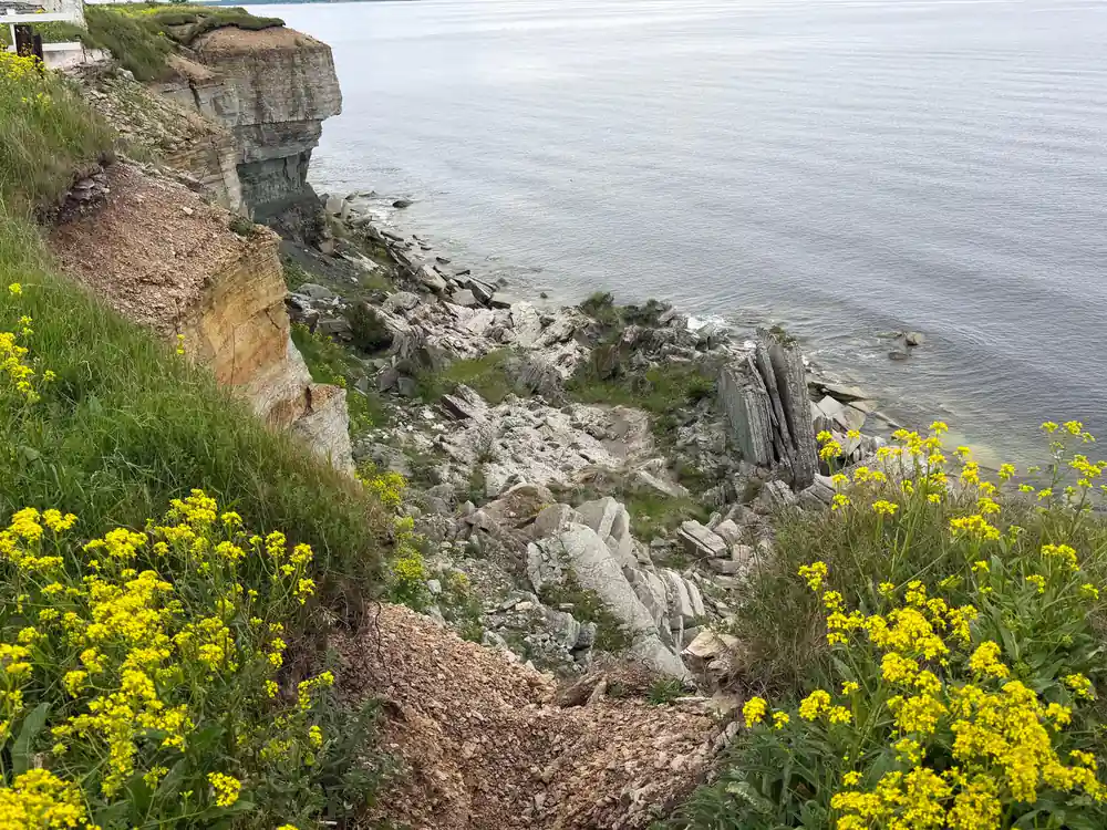 Rocky coastal cliff with yellow wildflowers and sea