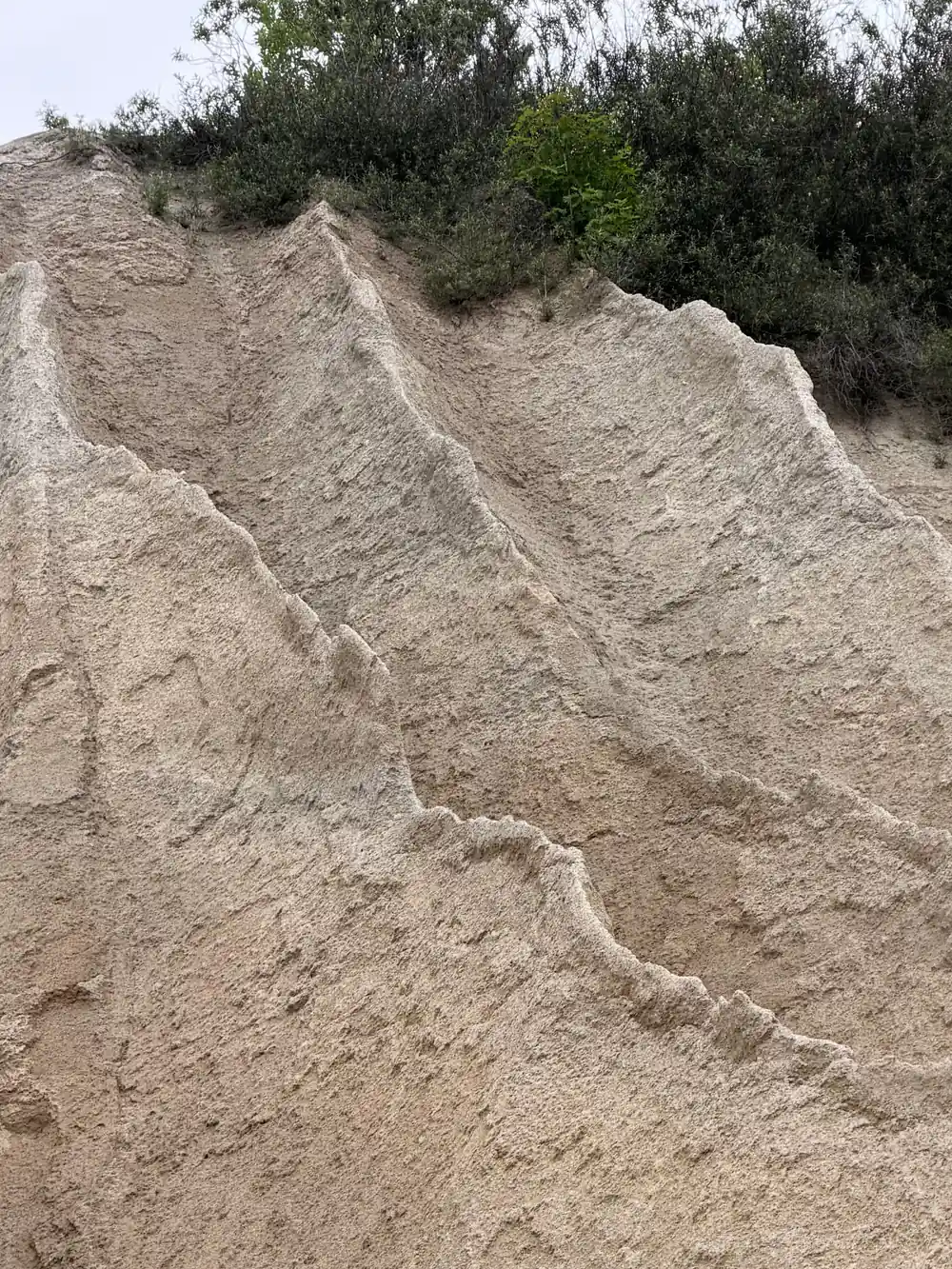 Sandy hillside with vegetation patterns and erosion