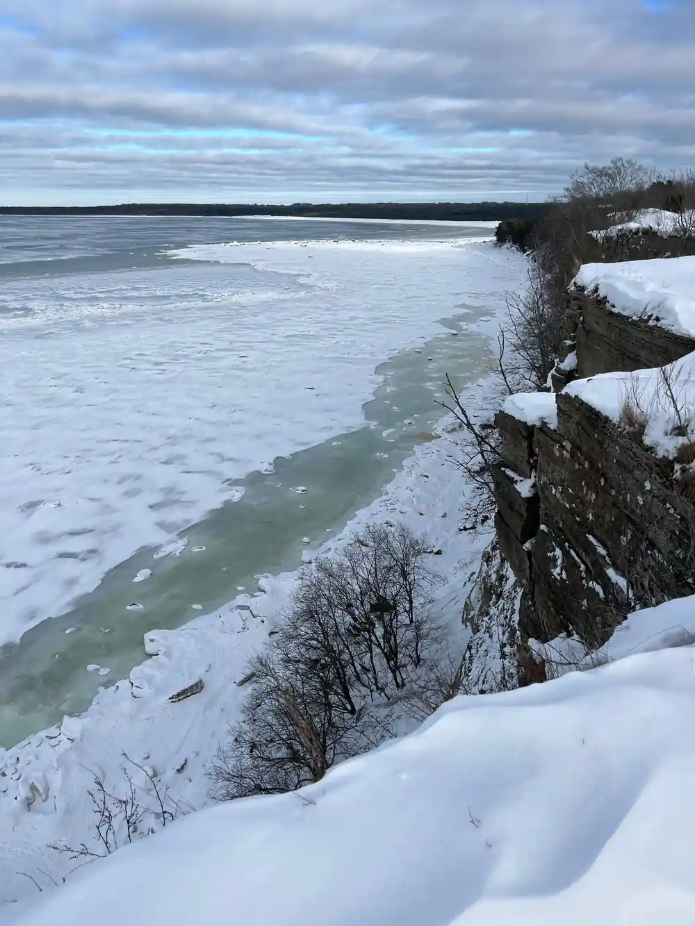Snowy frozen lake shore with sparse vegetation