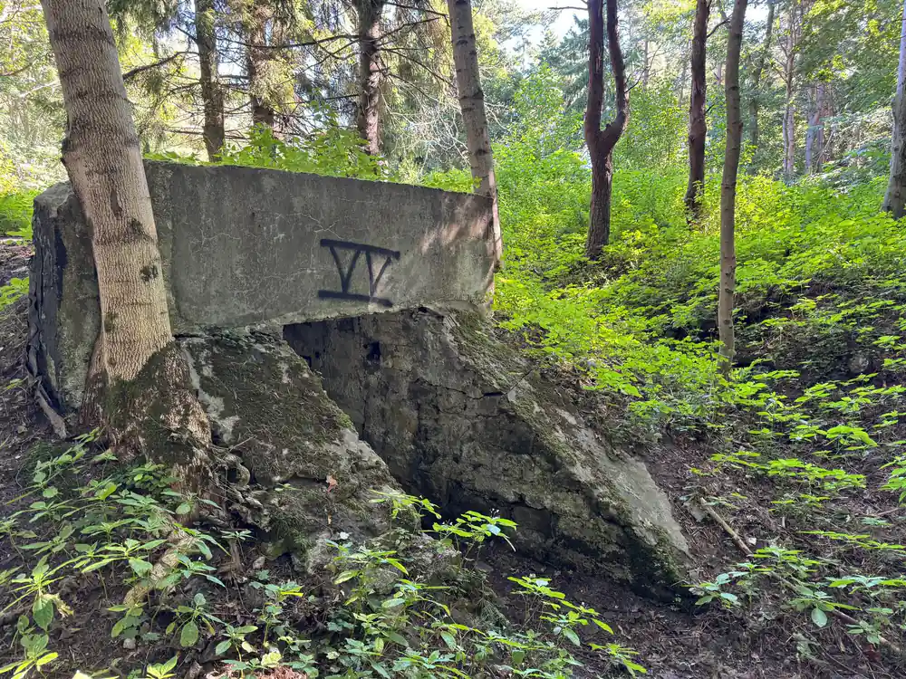 Stone bunker structure in forest with Roman numeral VI