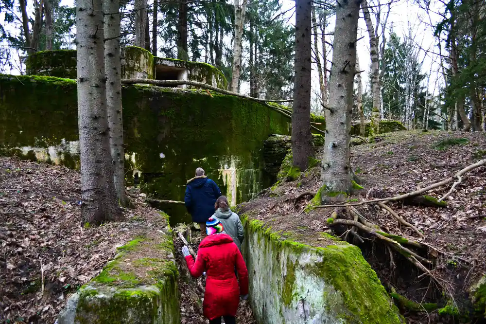 Two hikers walking through moss-covered forest valley