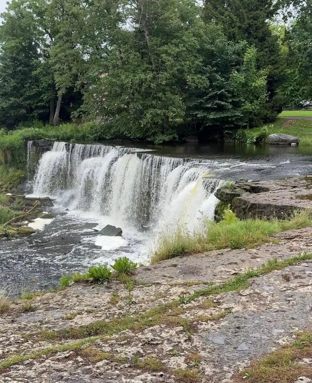 Waterfall cascading over rocky ledge with trees