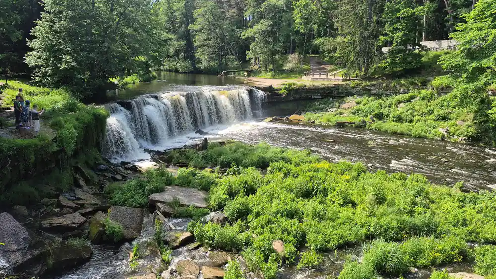 Waterfall flowing through dense green forest and vegetation